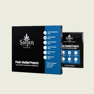Pain Relief Patch (10 pcs)